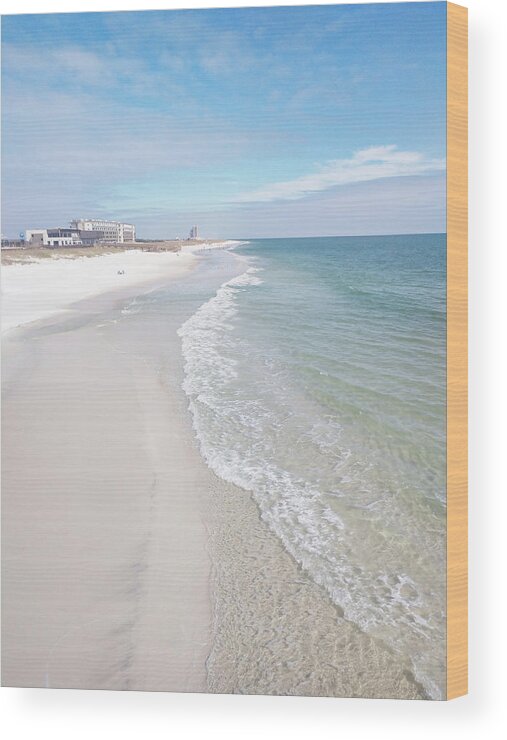 Coast Wood Print featuring the photograph 11118 Gulf Shores National Park by Pamela Williams