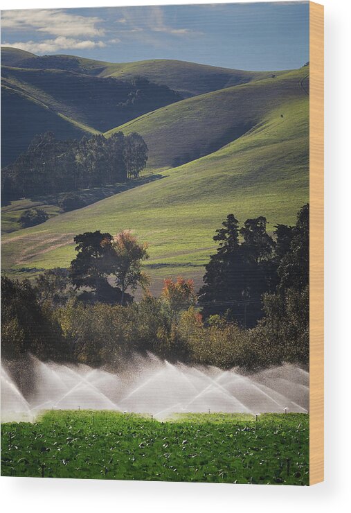  Wood Print featuring the photograph San Luis Obispo #4 by Lars Mikkelsen