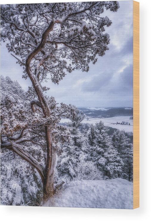 Snow Wood Print featuring the photograph Winter Wonderland #2 by Brad Bellisle