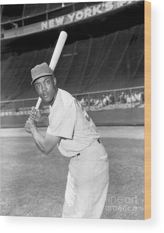 People Wood Print featuring the photograph Monte Irvin #3 by Kidwiler Collection