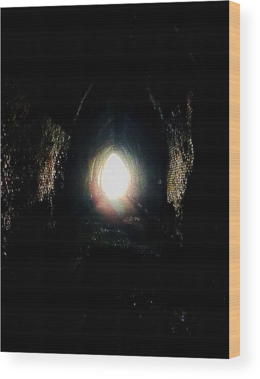  Wood Print featuring the photograph Crozet Blue Ridge Tunnel #4 by Stephen Dorton