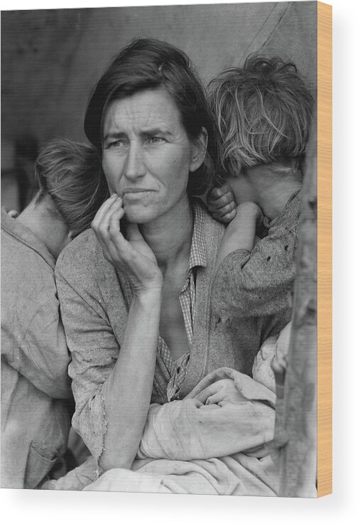 Migrant Mother Wood Print featuring the photograph Migrant Mother #6 by Dorothea Lange