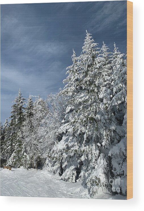  Wood Print featuring the photograph Winter Wonderland #8 by Annamaria Frost