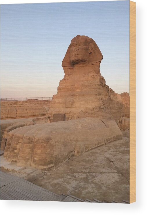 Giza Wood Print featuring the photograph Great Sphinx #9 by Trevor Grassi