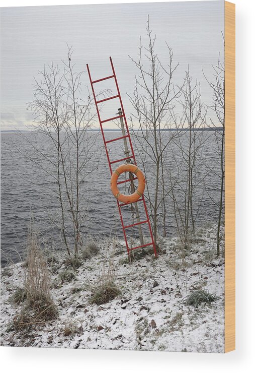 Finland Wood Print featuring the photograph 9 Steps To Be Saved by Jouko Lehto