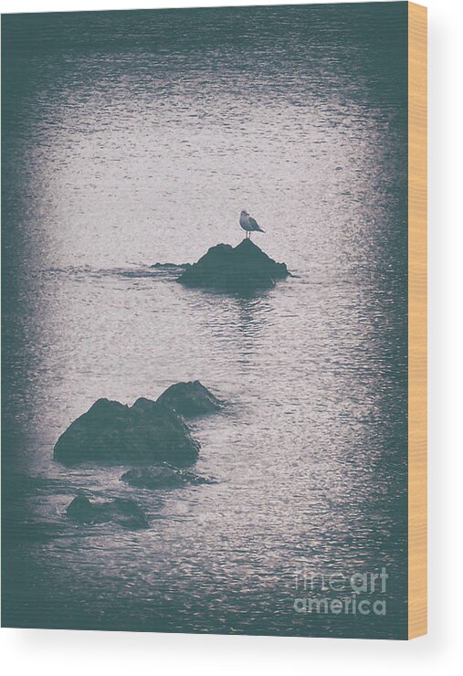 Vintage Wood Print featuring the photograph A Seagull Rests by Phil Perkins