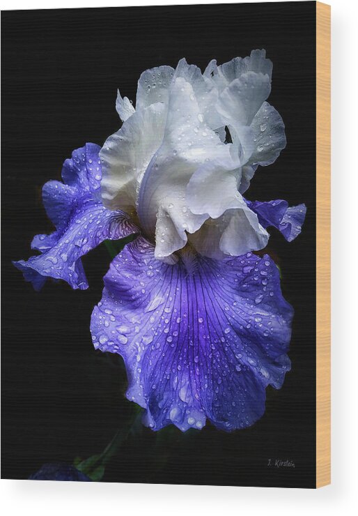 Angelic Wood Print featuring the photograph Angelic Iris by Janis Kirstein