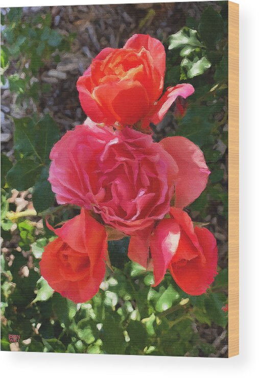 Roses Wood Print featuring the photograph April Blossoms by Brian Watt