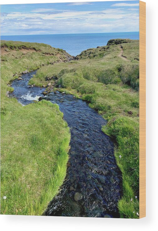 Copyright Elixir Images Wood Print featuring the photograph Arnarstapi Iceland Brook to Ocean by Santa Fe
