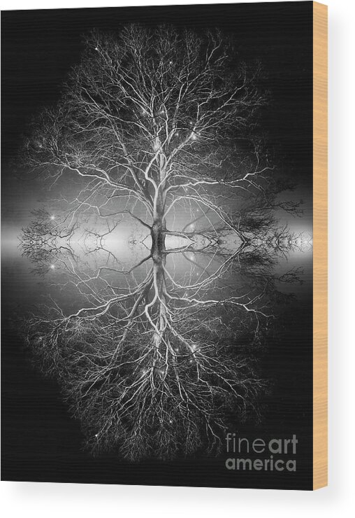 Oak Tree Wood Print featuring the photograph As Above So Below Monochrome by Tim Gainey