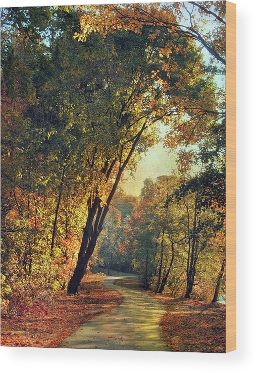 Autumn Wood Print featuring the photograph The Winding Path Through Autumn by Jessica Jenney