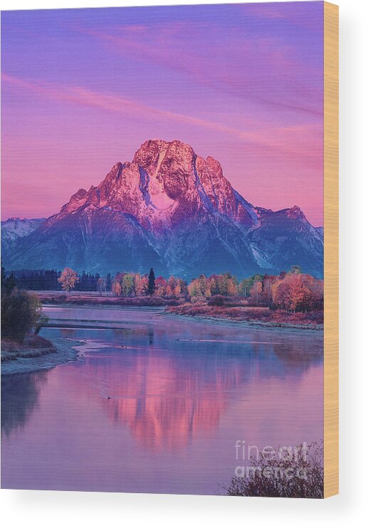 Dave Welling Wood Print featuring the photograph Autumn Dawn Oxbow Bend Grand Tetons National Park by Dave Welling
