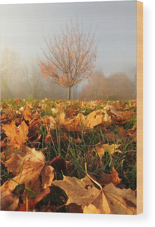 Autumn Wood Print featuring the photograph Autumn Fog by Dark Whimsy