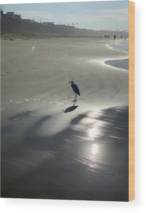 Ocean Wood Print featuring the photograph Beach Bird Silhouette by Sandy Rakowitz