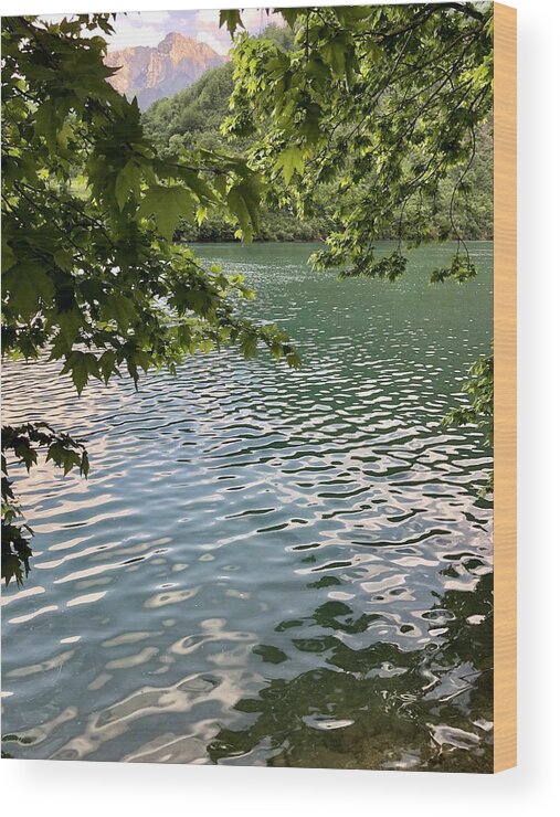 Scenics Wood Print featuring the photograph Beautiful river by Jasmin Merdan