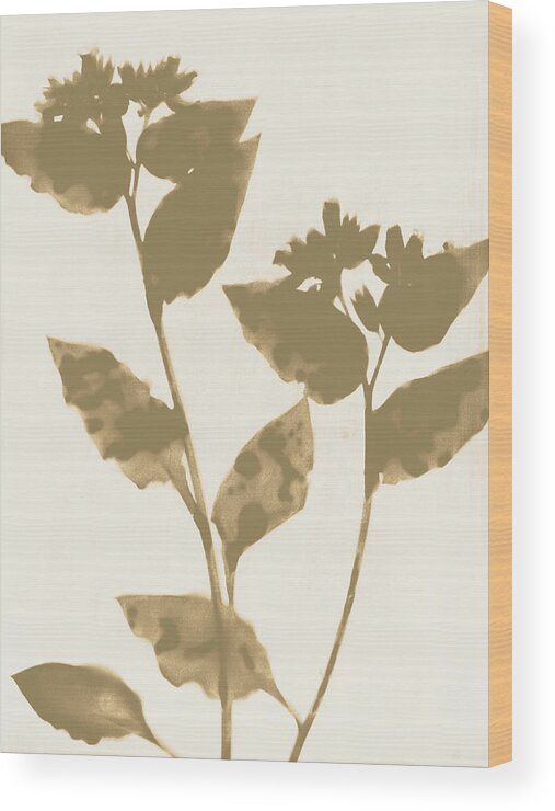 Neutral Wood Print featuring the painting Beige and Taupe Flowers by Janine Aykens