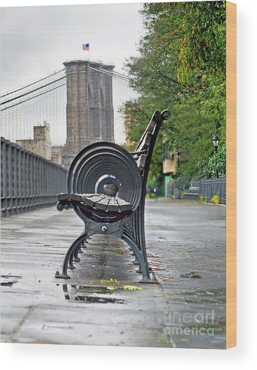 New York Wood Print featuring the photograph Bench's Circles at New York City's Brooklyn Heights - color version by Carlos Alkmin