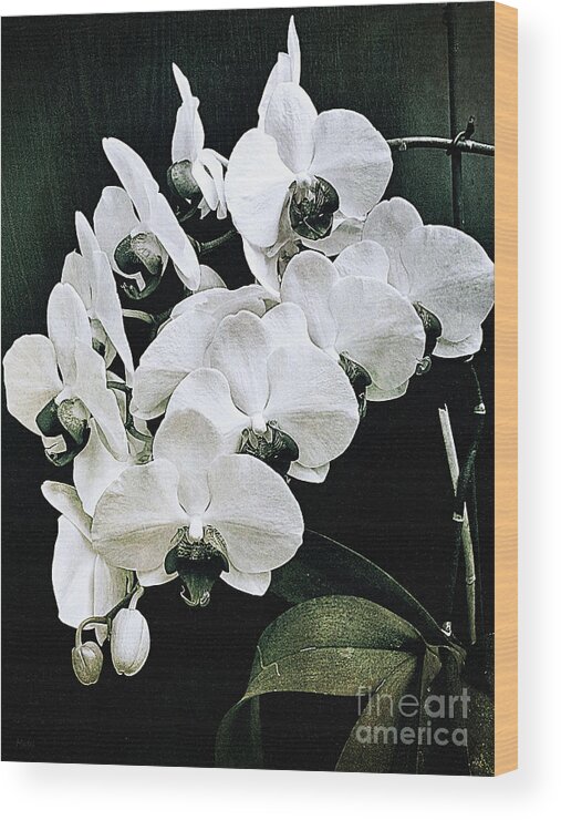 Orchids Wood Print featuring the photograph Black and White Beauty by Ramona Matei