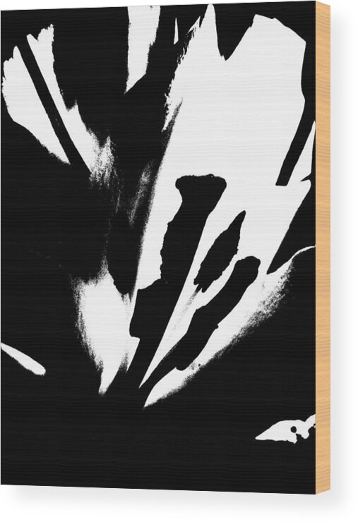  Wood Print featuring the photograph Black n White Lily by Gena Herro