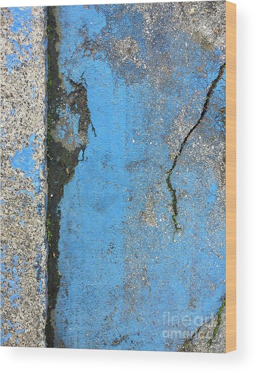Blue Wood Print featuring the photograph Blue Series 1-4 by J Doyne Miller