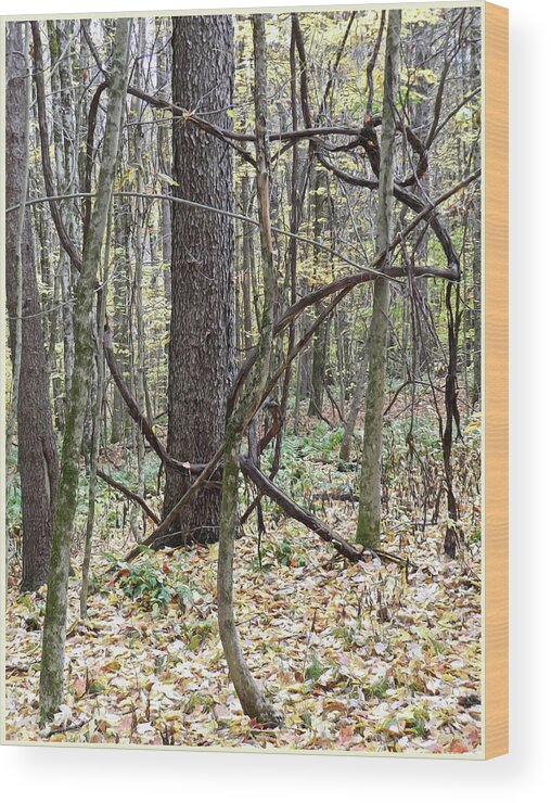 Brambles Wood Print featuring the photograph Brambles, Tree Tangle by Lise Winne