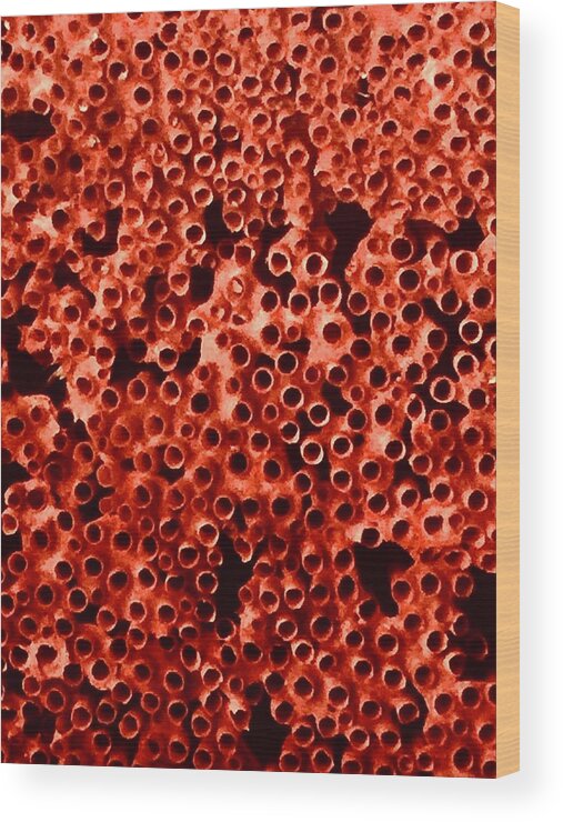 Red Wood Print featuring the photograph Burst Bubbles by Kerry Obrist