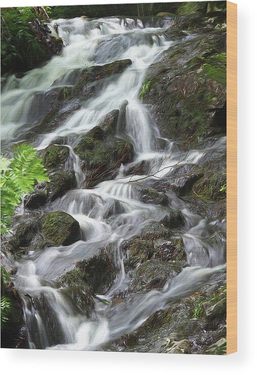 Chikahoki Falls Wood Print featuring the digital art Chikahoki Rapids by Bearj B Photo Art