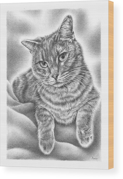 Cat Wood Print featuring the drawing Chilling Cat by Casey 'Remrov' Vormer