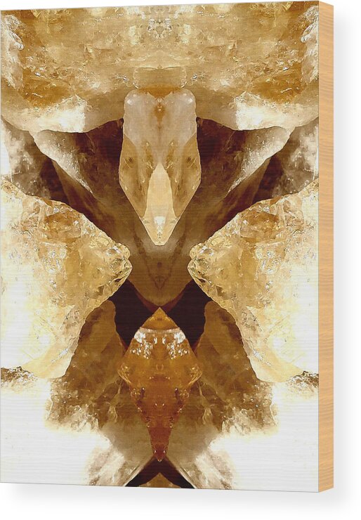 Citrine Wood Print featuring the photograph Citrine Commander by Stephenie Zagorski