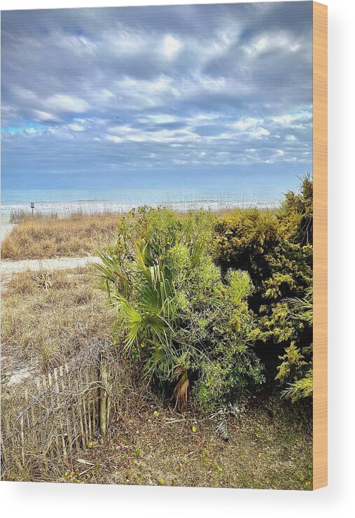 Beach Wood Print featuring the photograph Clouds Rolling In Over The Ocean by Bill Swartwout