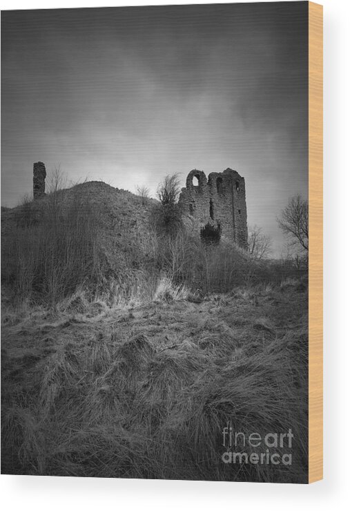 Castle Wood Print featuring the photograph Clun Castle by Gemma Reece-Holloway