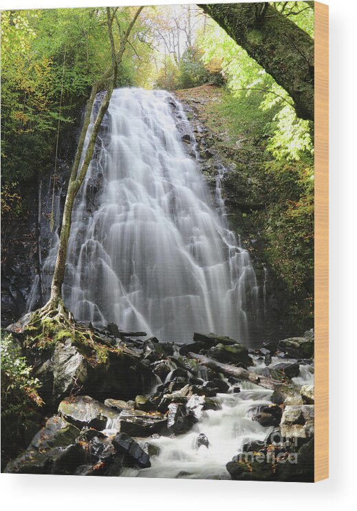 Crabtree Falls Wood Print featuring the photograph Crabtree Falls 0701 by Jack Schultz