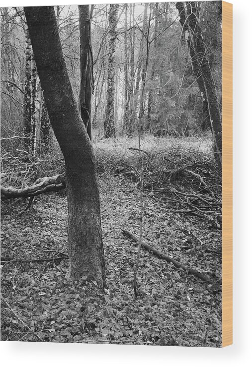 Infrapuna Wood Print featuring the photograph Dark Bark and feelings of the fall bw by Jouko Lehto