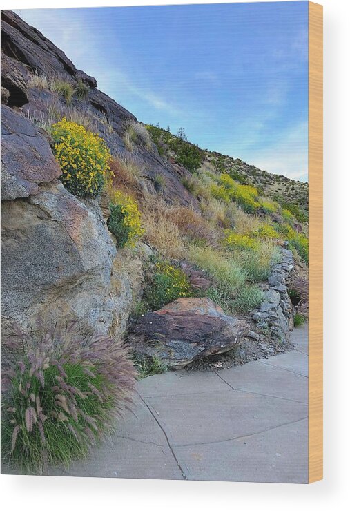 Landscape Wood Print featuring the photograph Desert Bloom by Leslie Porter