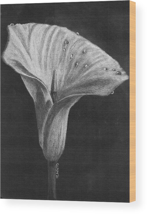 Single Flower Wood Print featuring the drawing Dew on a Calla Lily by Katrina Gunn