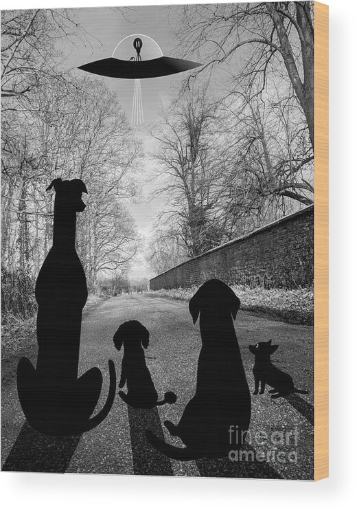 Dogs Wood Print featuring the digital art Dogs Spy Alien in Flying Saucer by Donna Mibus