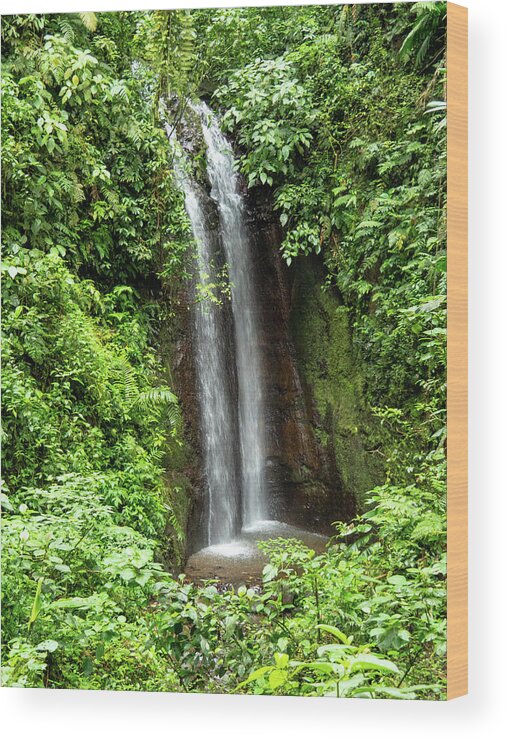 Costa Rica Wood Print featuring the photograph Double Falls, Costa Rica by Leslie Struxness