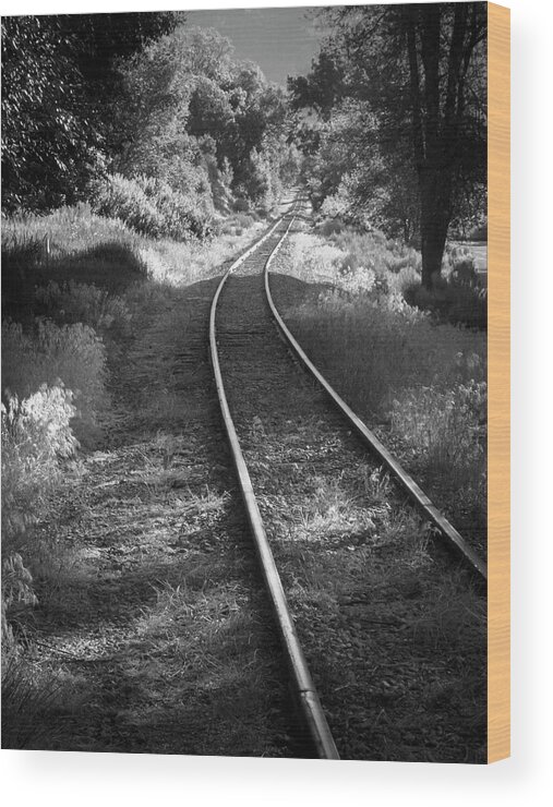 Durango Wood Print featuring the photograph Durango Narrow Gauge Rail by Mary Lee Dereske