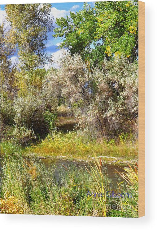 Fall Colors Shine With Brilliance In The Bright Colorado Sun Wood Print featuring the photograph Elegant autumn foliage by Annie Gibbons