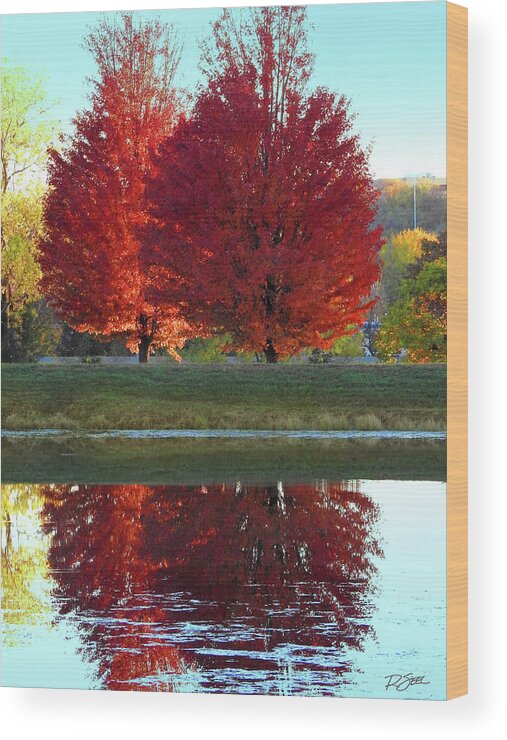 Fall Wood Print featuring the photograph Fall Tree Reflections by Rod Seel