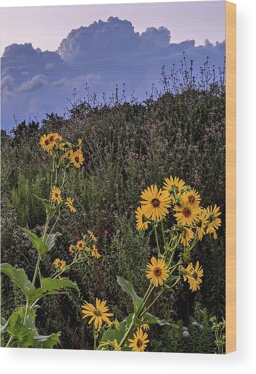  Wood Print featuring the photograph Flowers at Brandywine Falls by Brad Nellis