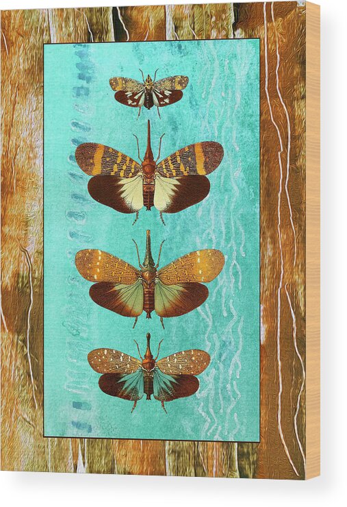 Lepidoptera Wood Print featuring the mixed media Four Butterflies Entemology Society of London by Lorena Cassady