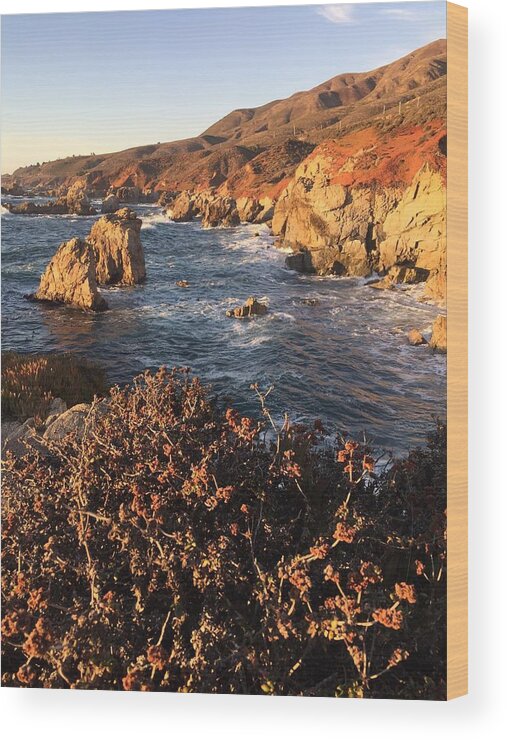 Carmel By The Sea Wood Print featuring the photograph Golden Hour at Garrapata Beach by Luisa Millicent