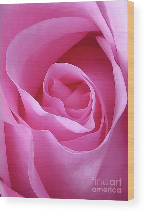 Rose Wood Print featuring the photograph Gorgeous Pink by Amy Dundon