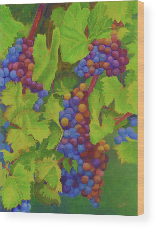 Grapevine Wood Print featuring the painting Grapevine by David Hardesty