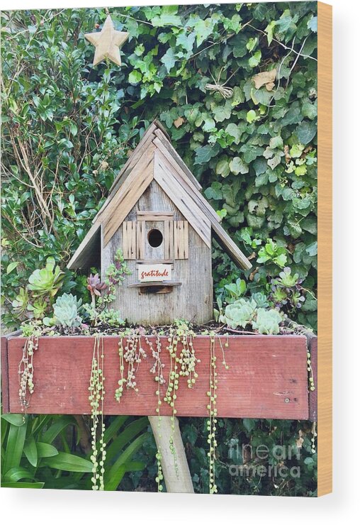 Bird House Wood Print featuring the photograph Gratitude by J Doyne Miller