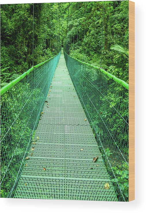 Hanging Bridge Wood Print featuring the photograph Hanging Bridge in Cloud Forest in Monte Verde Costa Rica by Leslie Struxness