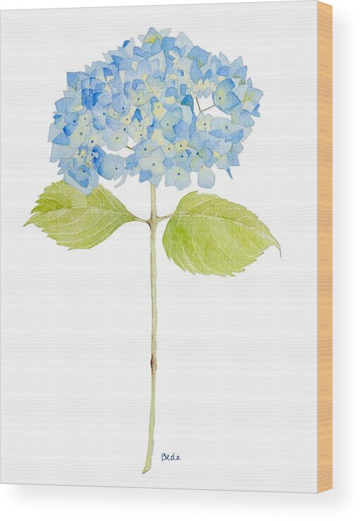Hydrangea Wood Print featuring the painting Happy Day by Catherine Bede