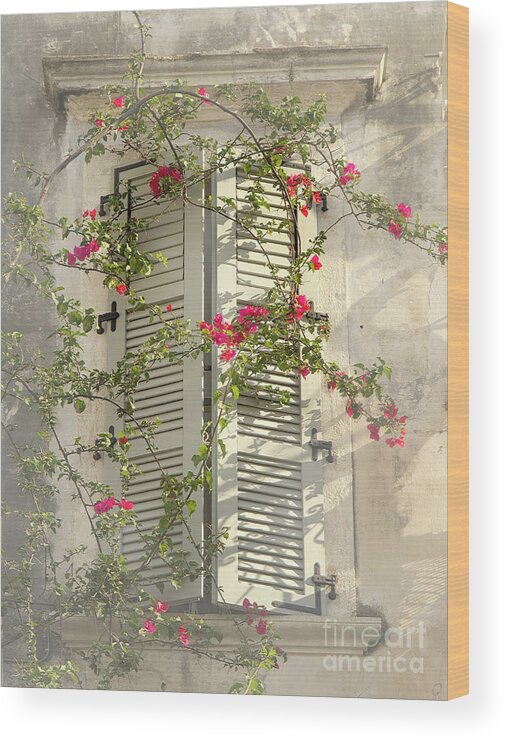 Home Sweet Window Shatters Flowers Soft Delicate Gentle Pleasing Impressionistic Impressions Impressionism Attractive Allure Atmospheric Uplifting Conceptual Charismatic Dreams Growing Flowering Peace Peaceful Tranquil Tranquility Restful Relaxing Relaxation Painterly Artistic Pastel Watercolor Art Old Smart Thought Provoking Thoughtful Haven House Poetic Magical Sunny Day Afternoon Foggy Misty Touching Life-style Half-opened Greece Corfu Greek Inspirational Spiritual Lightness Sun Highlights Wood Print featuring the photograph Home Sweet Home,warm Andtender by Tatiana Bogracheva