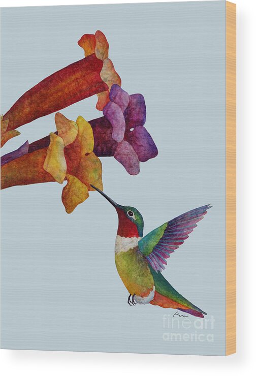 Hummingbird Wood Print featuring the painting Hummer Time - solid background by Hailey E Herrera